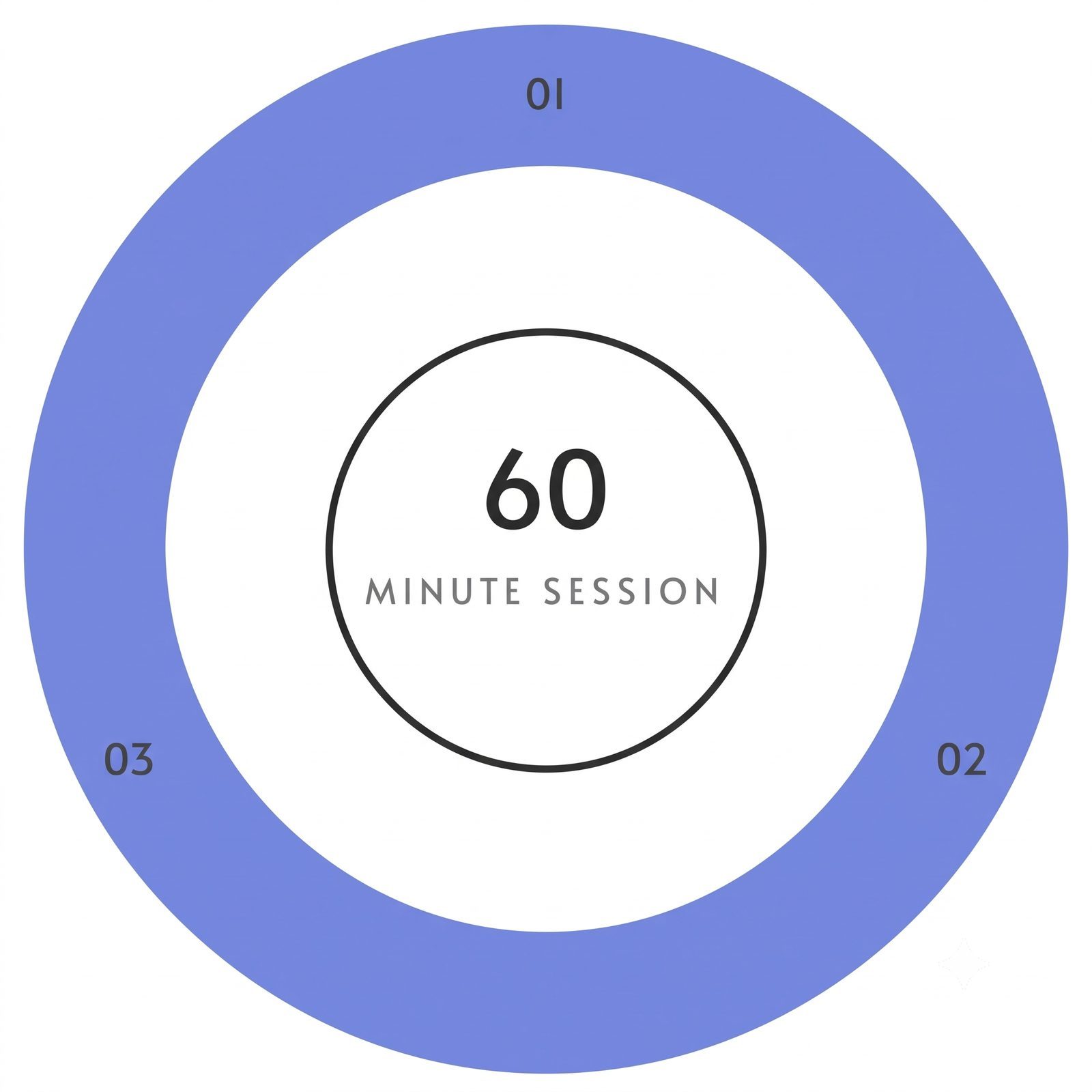 The Aluma Method 60 Minute Hair Session
